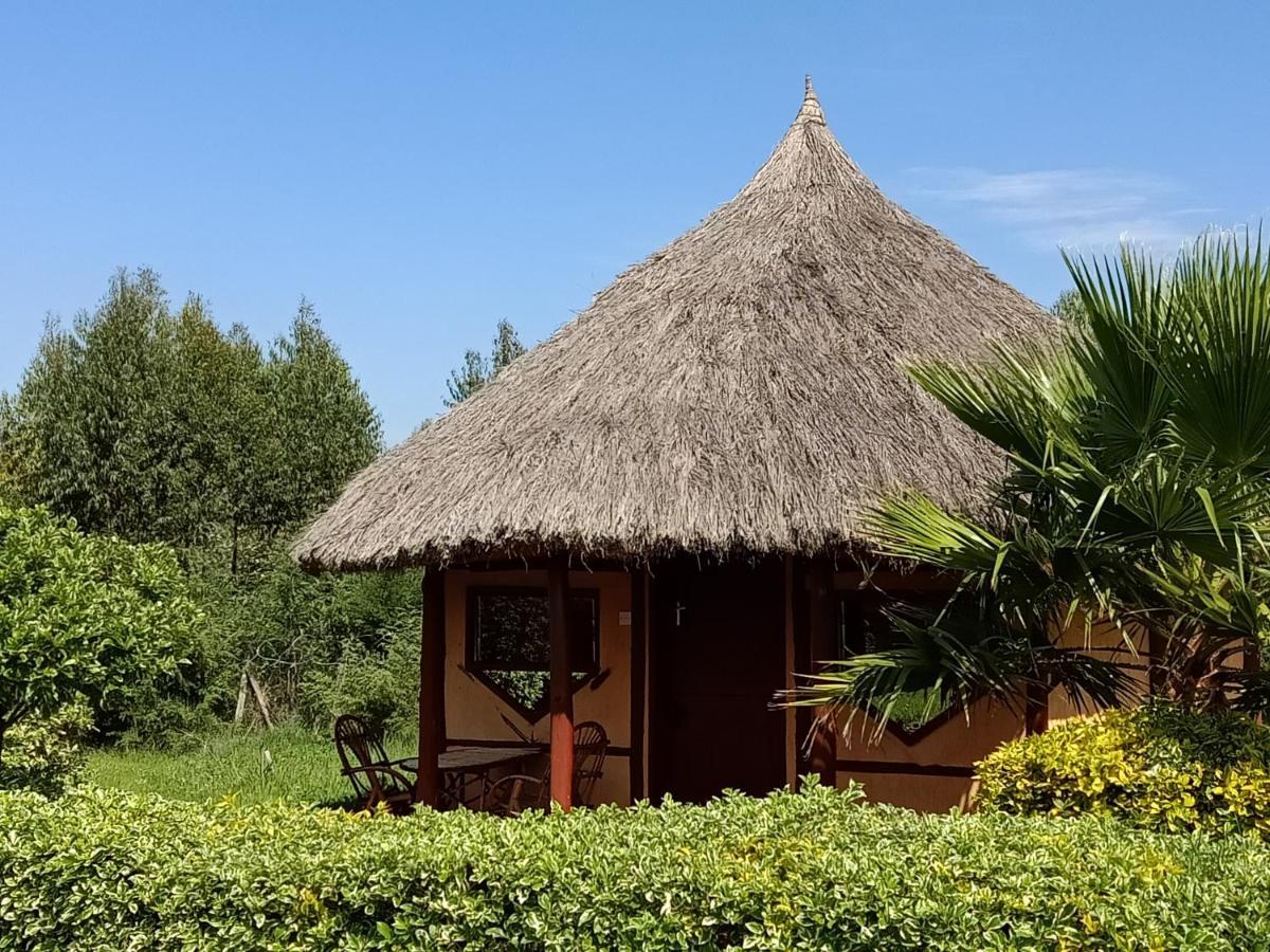 The Great Circle Lodge Nanyuki Exteriör bild