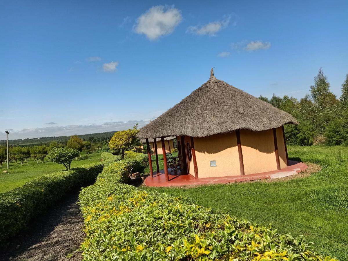 The Great Circle Lodge Nanyuki Exteriör bild