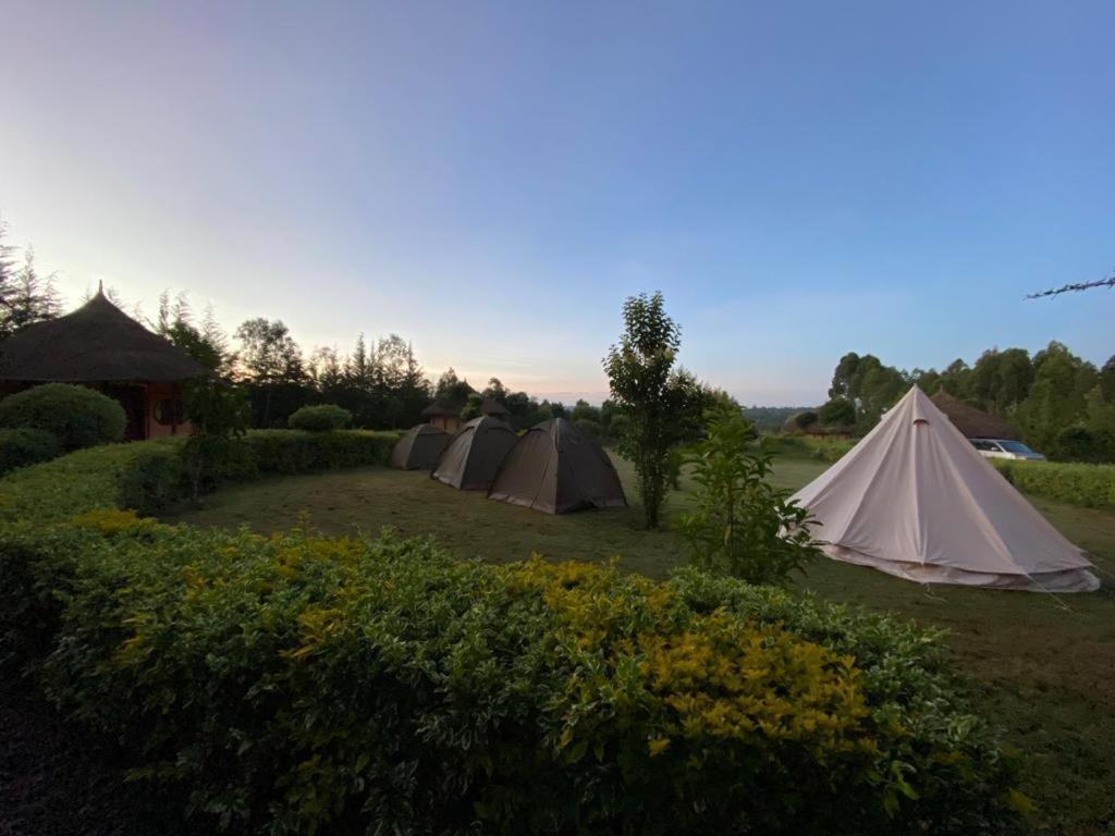The Great Circle Lodge Nanyuki Exteriör bild