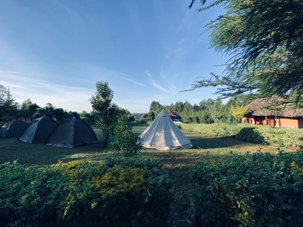 The Great Circle Lodge Nanyuki Exteriör bild
