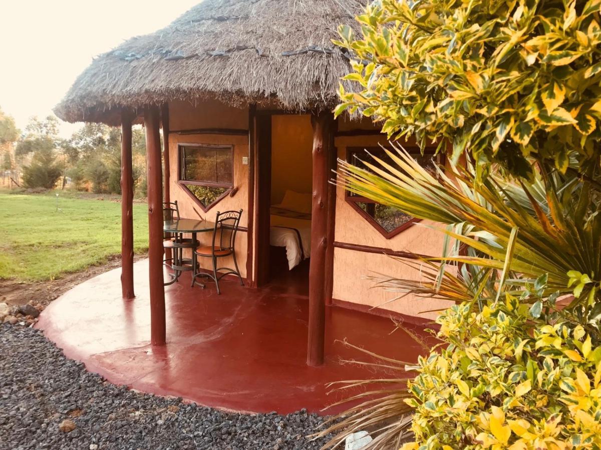 The Great Circle Lodge Nanyuki Exteriör bild