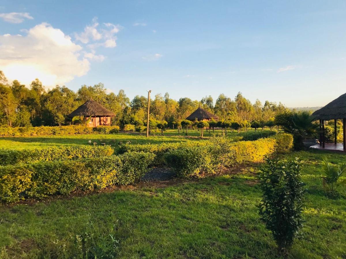 The Great Circle Lodge Nanyuki Exteriör bild